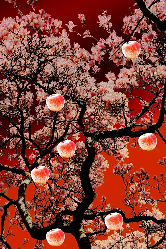 Sweet Fruit