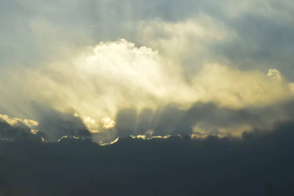 Vase of Light