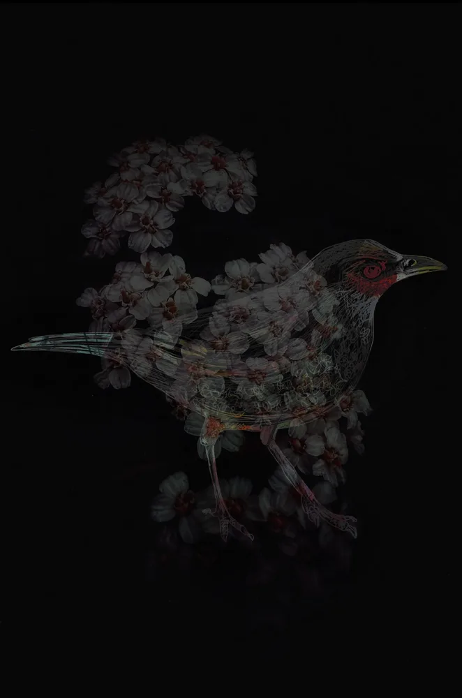 Floral Fowl