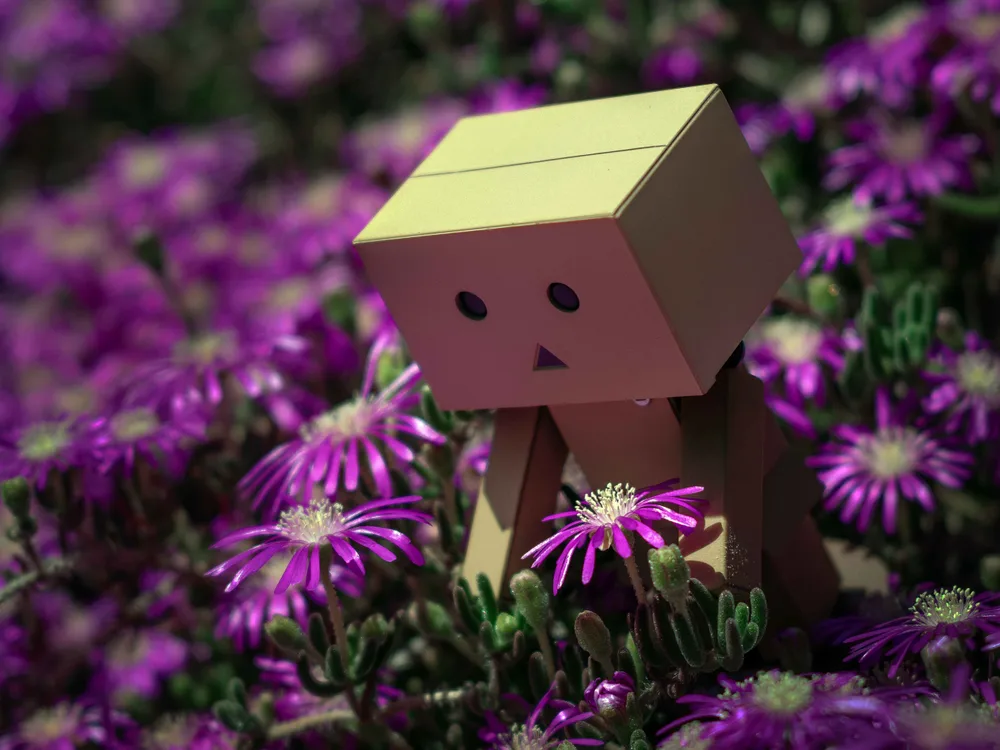 Danbo in the Nature
