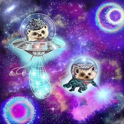 Hedgehogs Go Star-Fishing