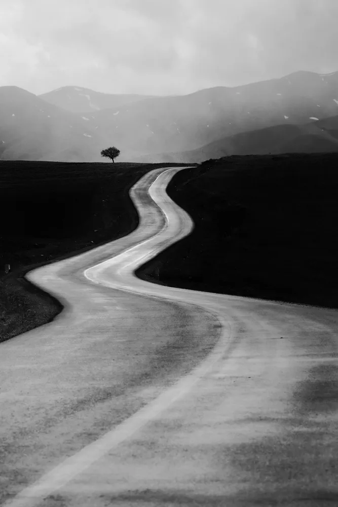 Travel