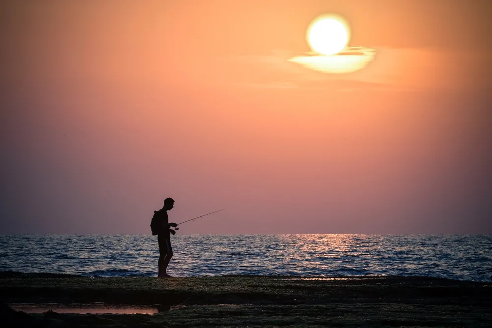The fisherman