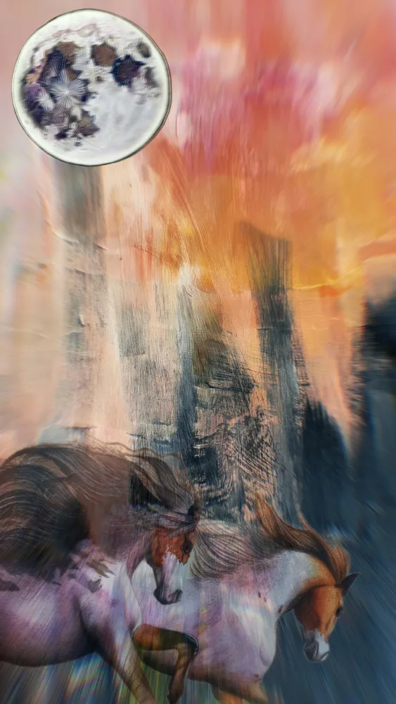 What Hasti Sees