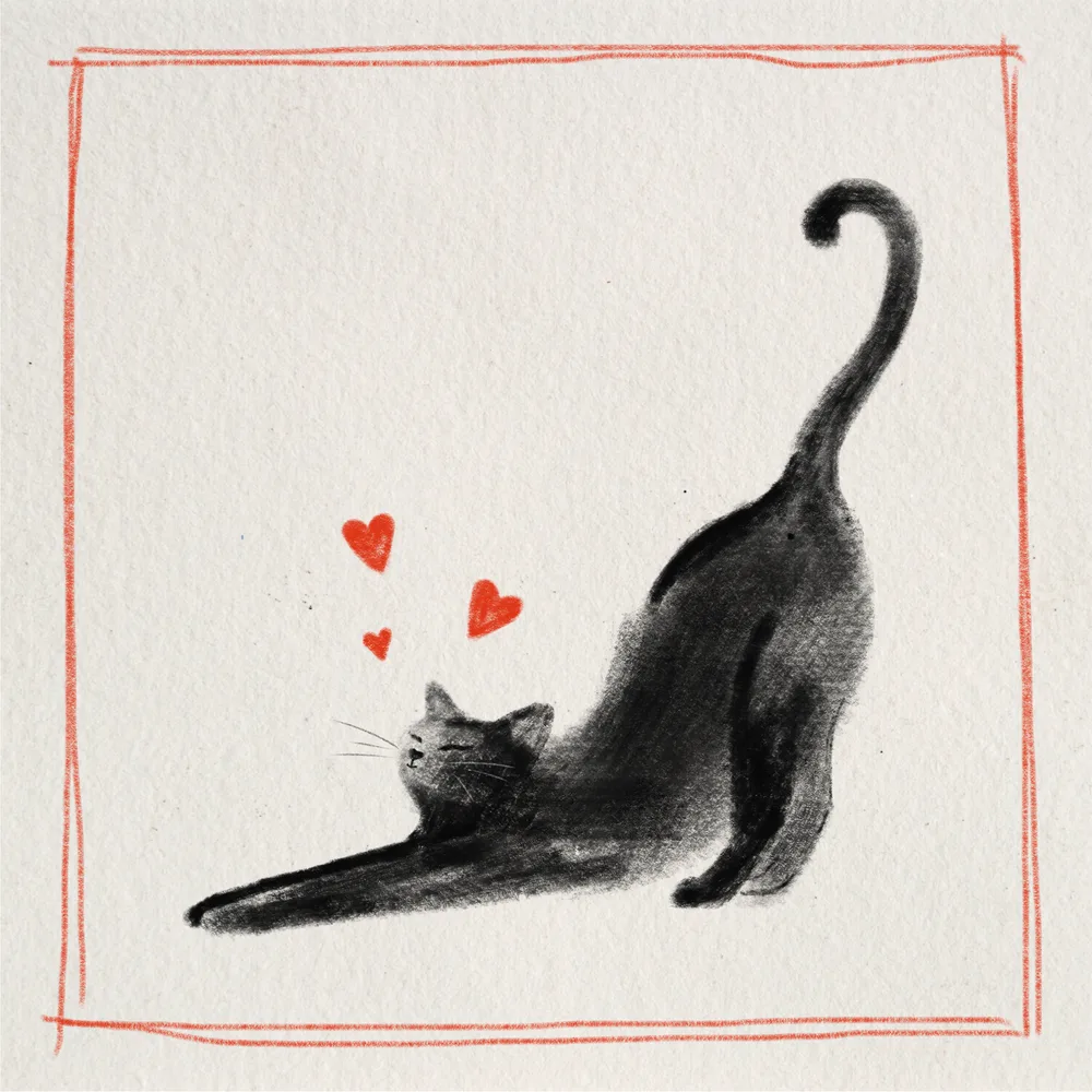 With love, your puss ❤️