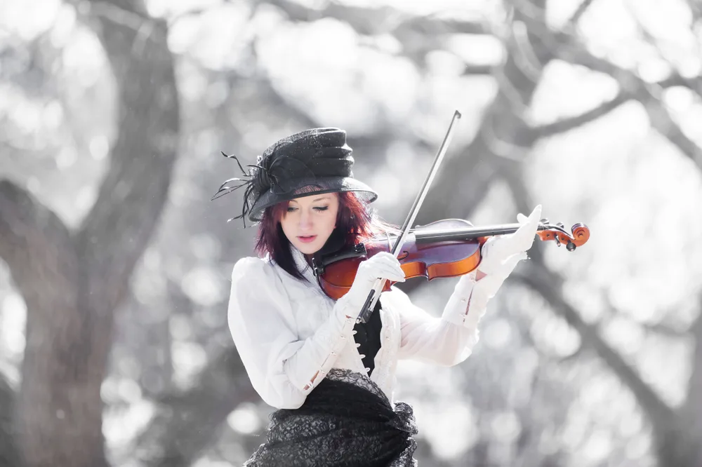 The Violinist
