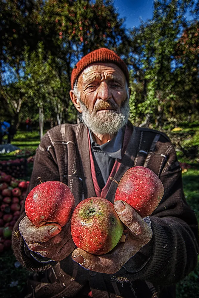 Three Apples