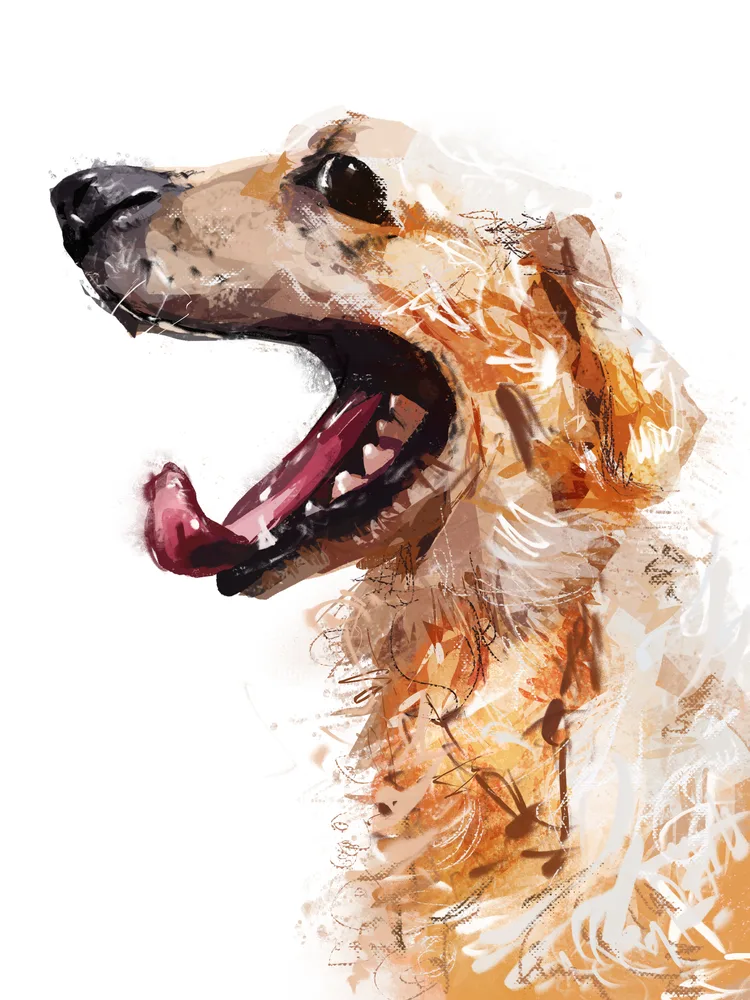 Woof