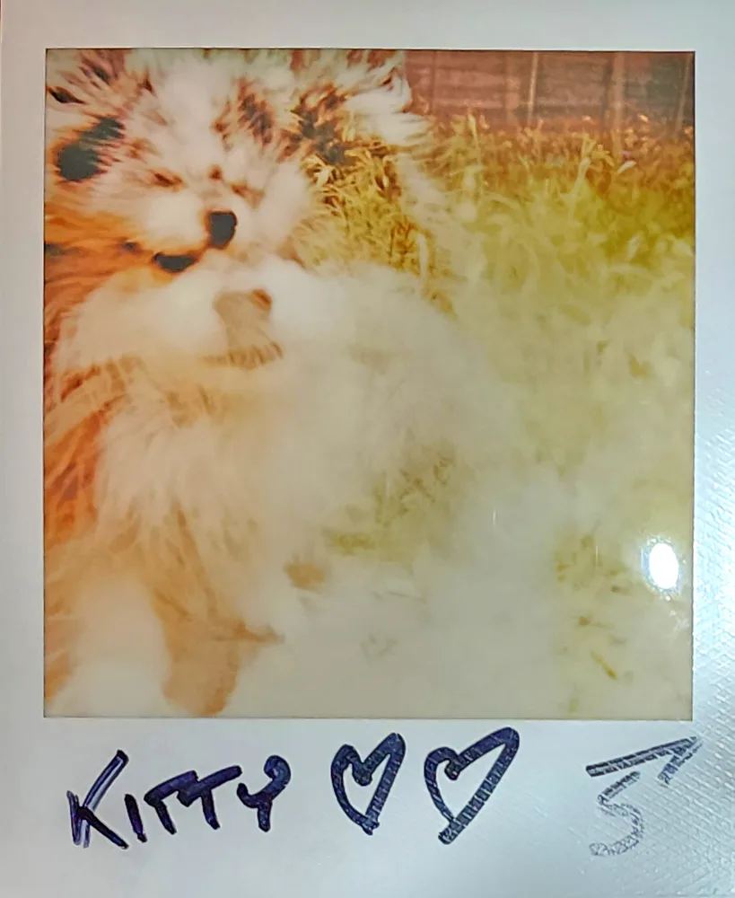 Polaroid L-2 Pack 1 Pic 8