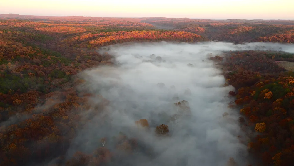 Golden Hues and Misty Dreams