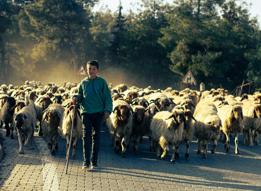 Street Spirit