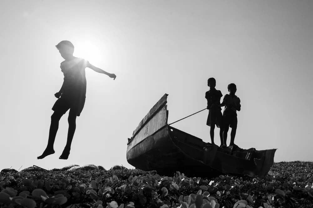 Timeless Joy
