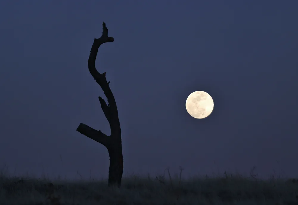 Full moon
