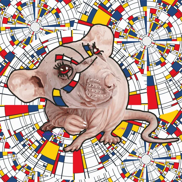 rat mondrian in circles