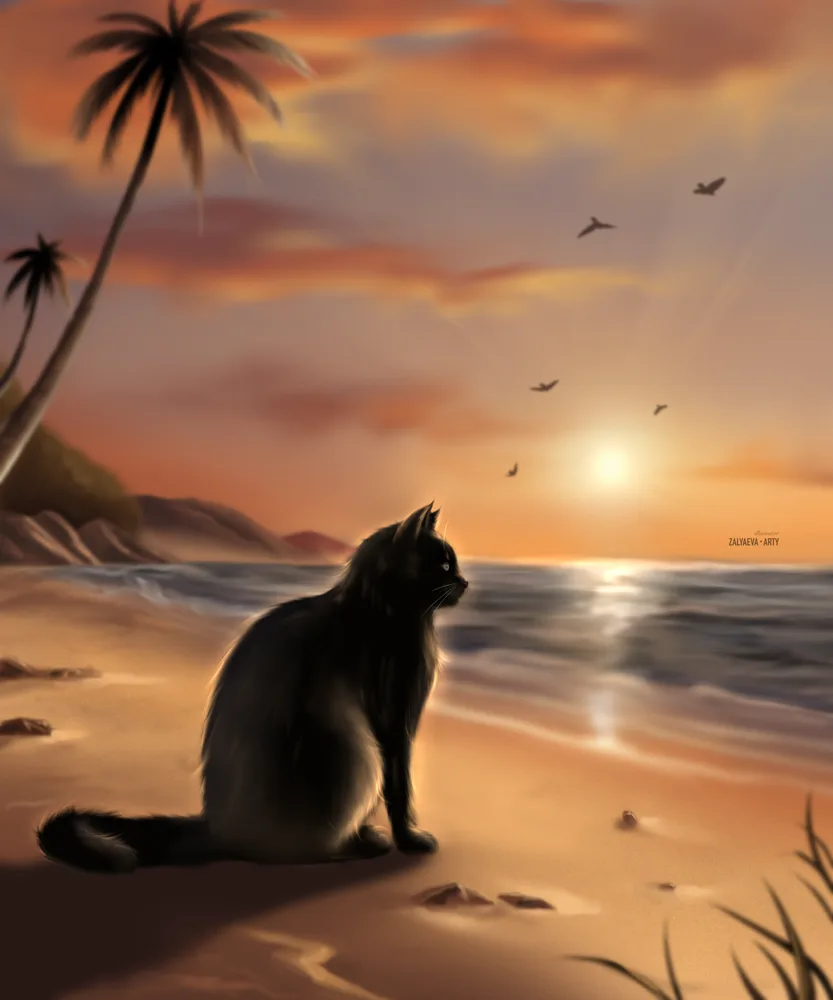 Cute black cat