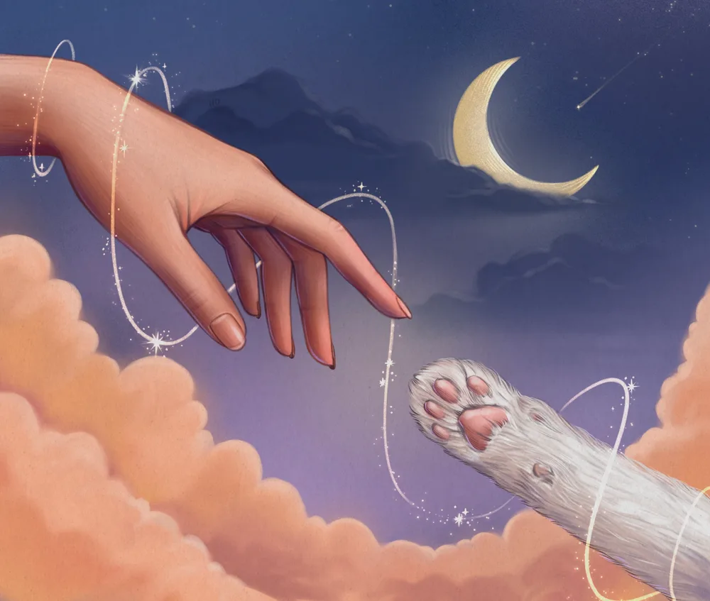 Soul Connection