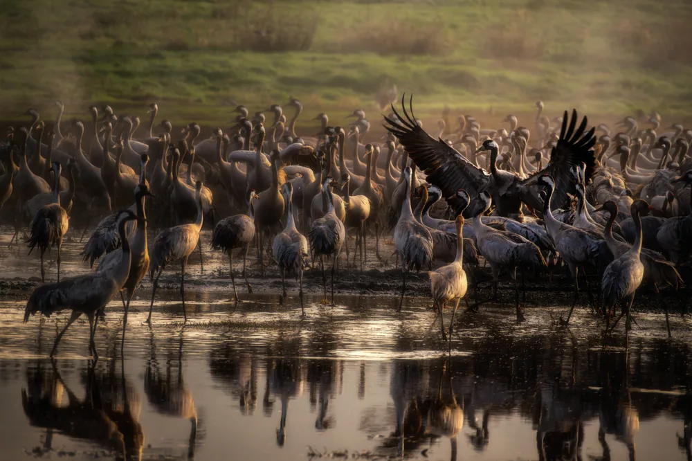 Gathering