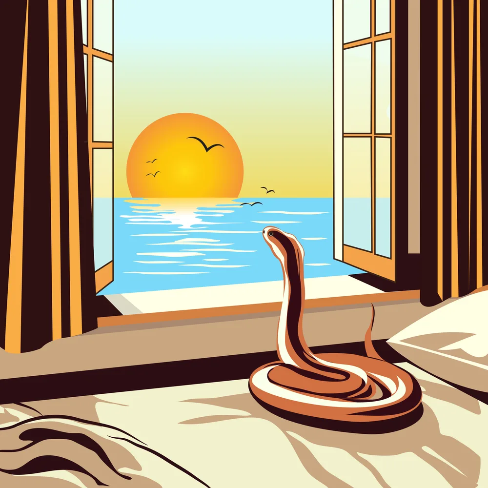 Ocean