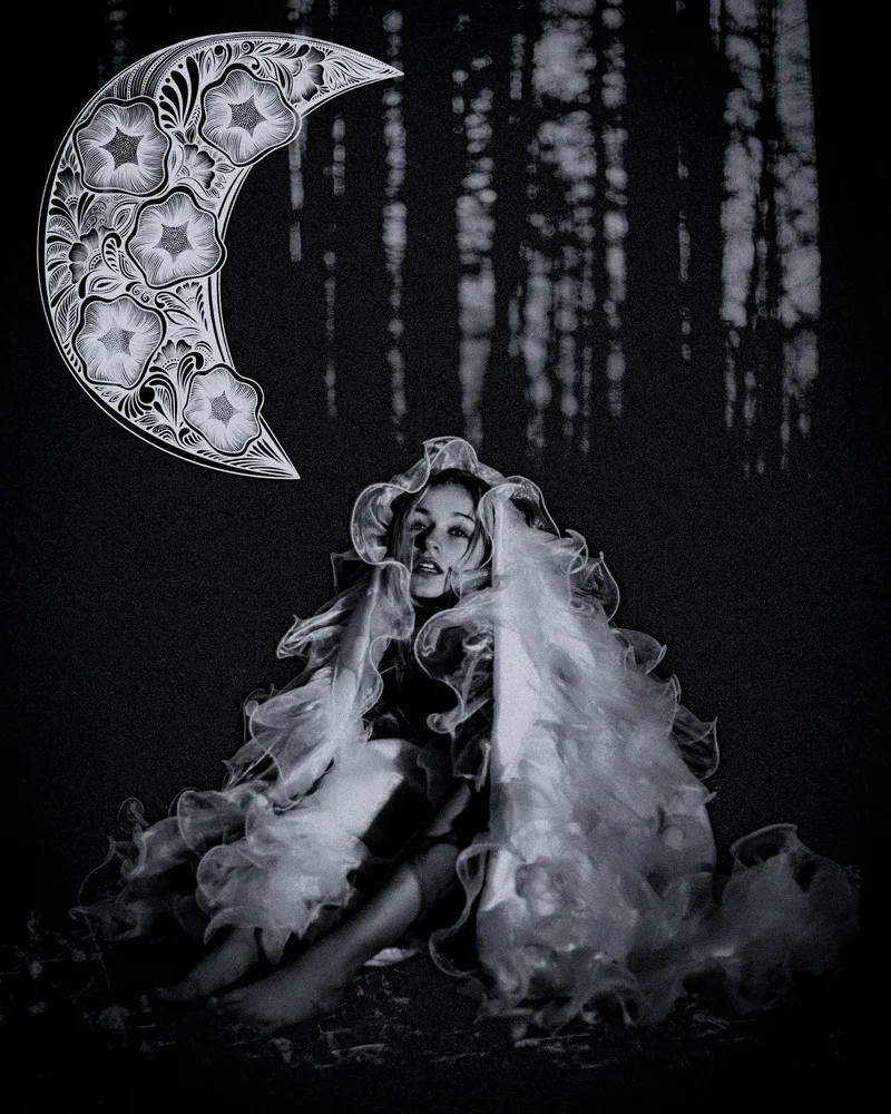 Nocturnal Reverie