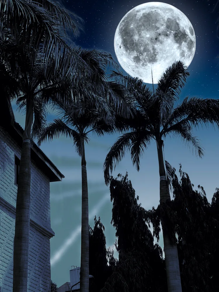 Full Moon 🌕