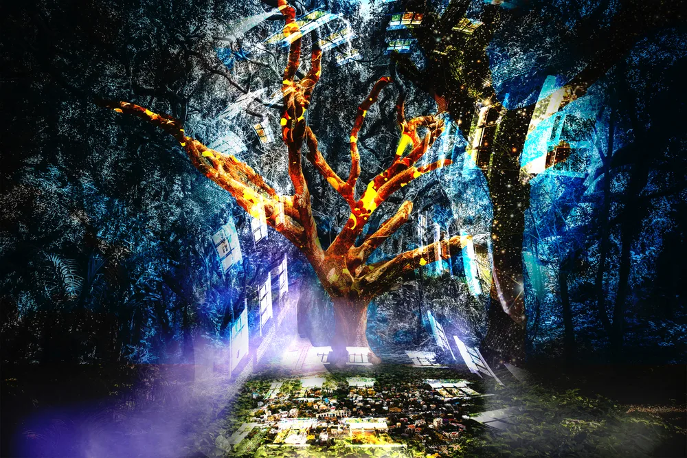 The Forest in Wonderland