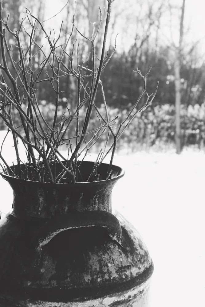 _yesteryear