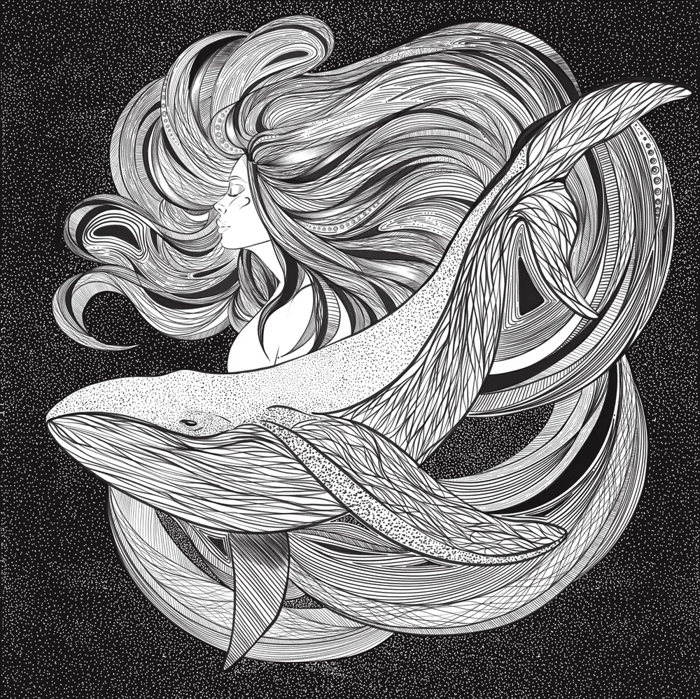 Harmony