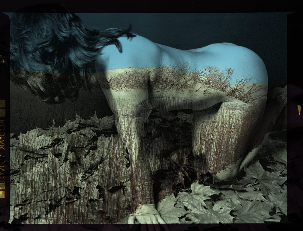 Geography of the skin