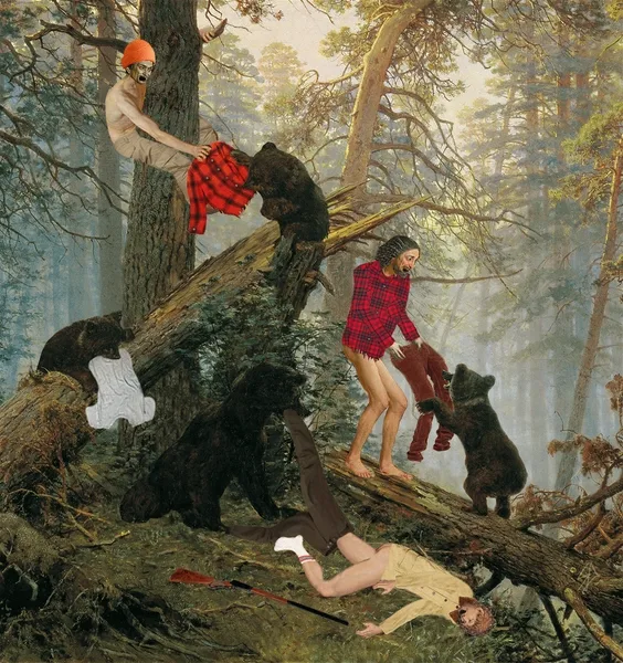 Later in the Morning in a Pine Forest
