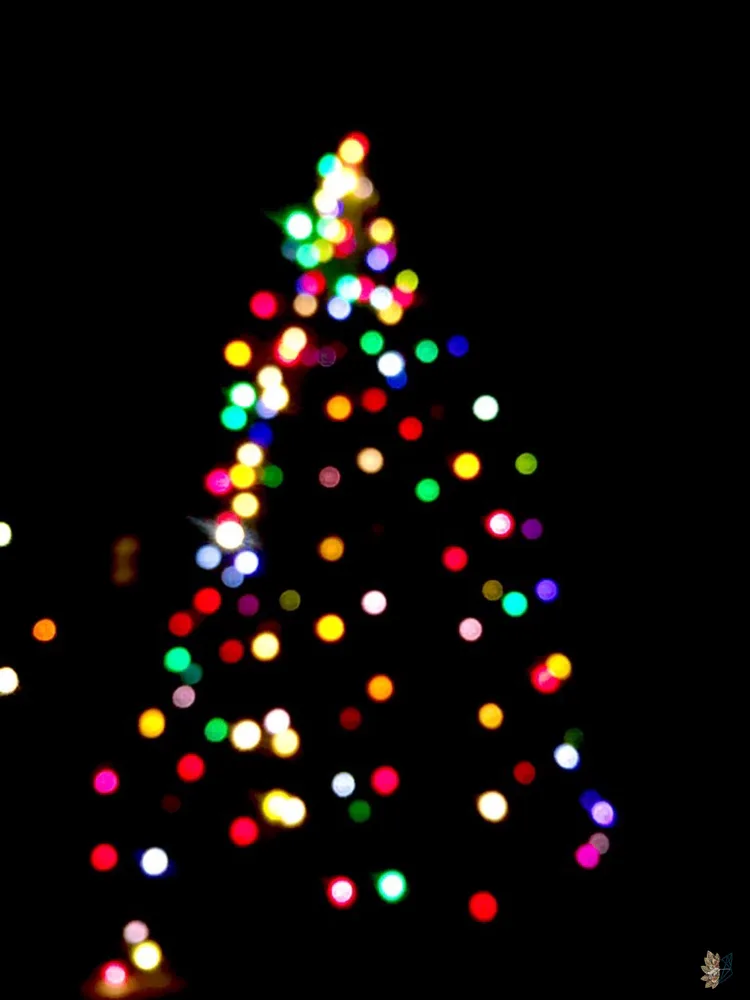 Bokeh Around the Christmas Tree