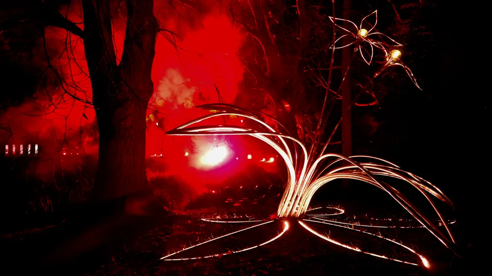 Lightscape  - flower #5
