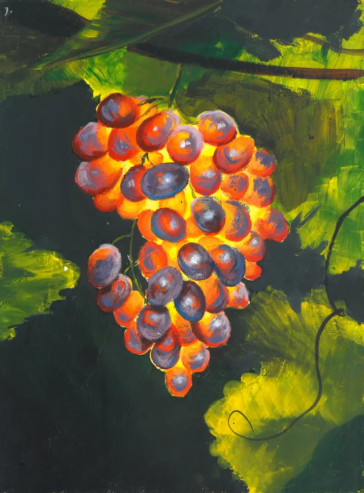"Grapes in Evening Light"
