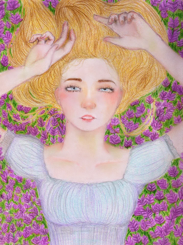 Fields of lavender
