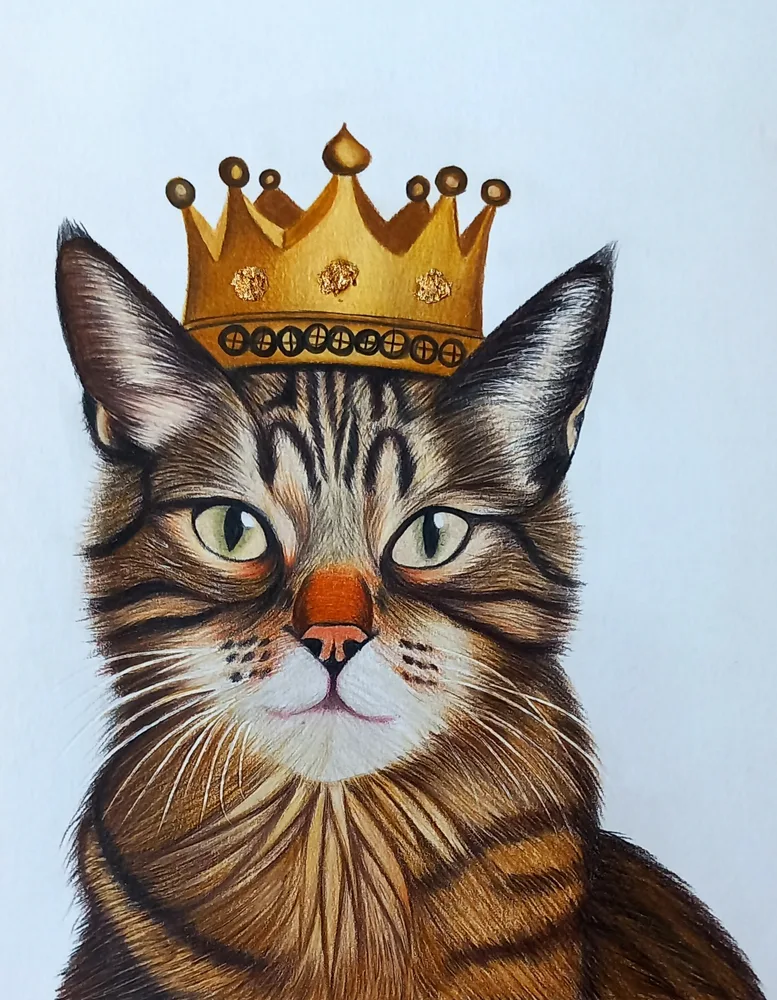 crowned cat