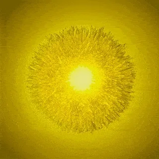 BaNaNaWeR