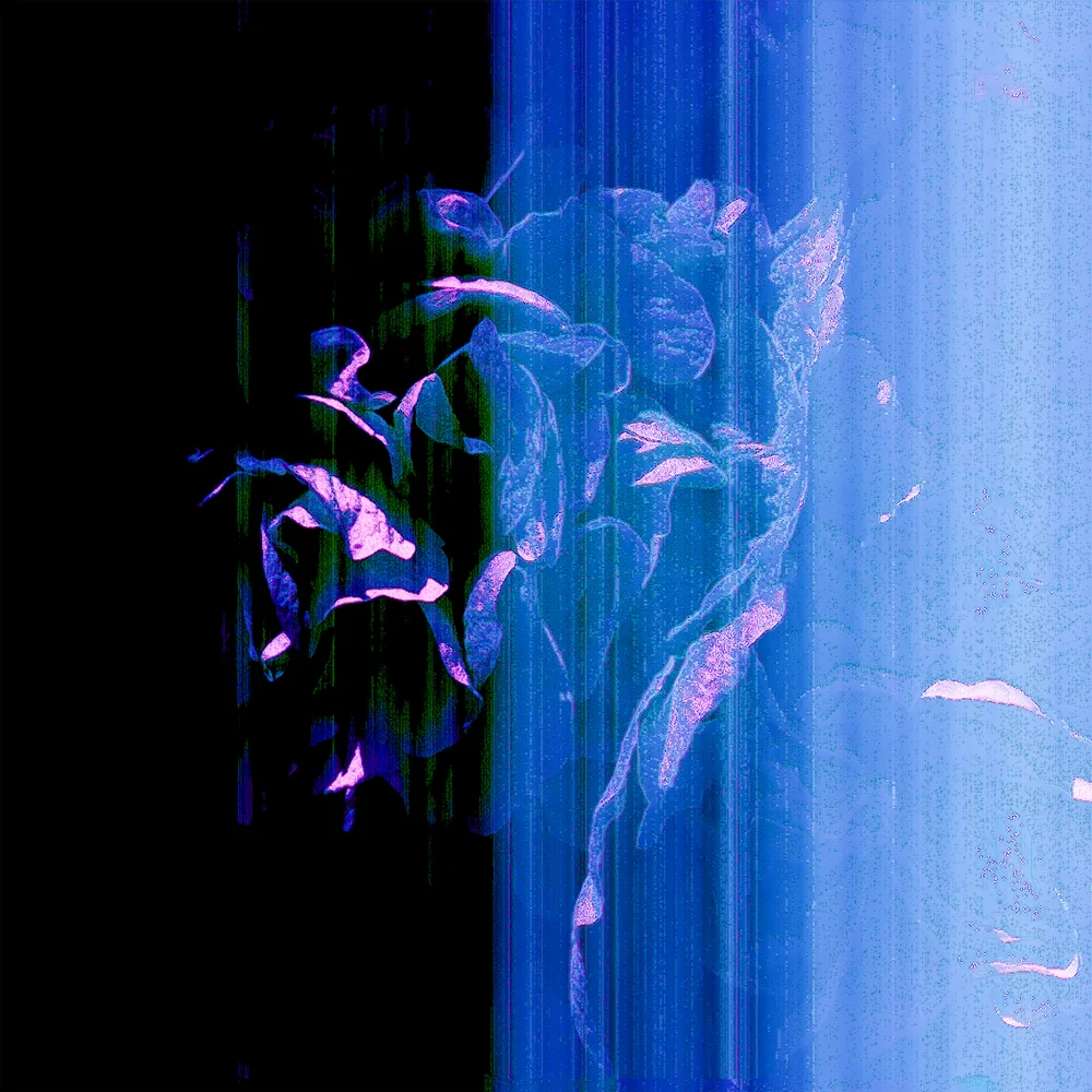 Shadow and Ice