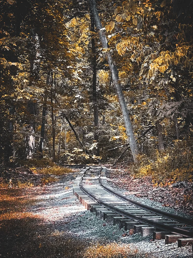 Parallel Lines