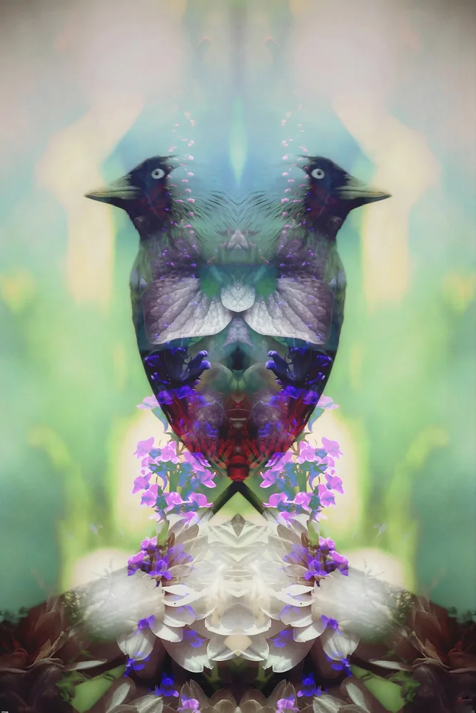 Convergence