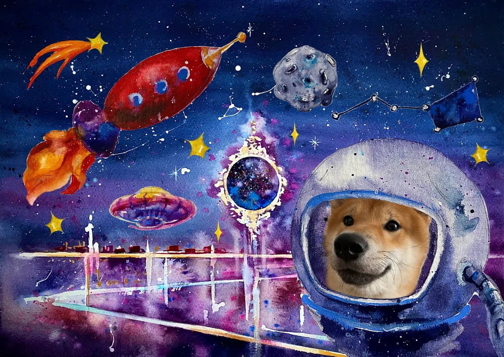 Amiko Explores the Universe