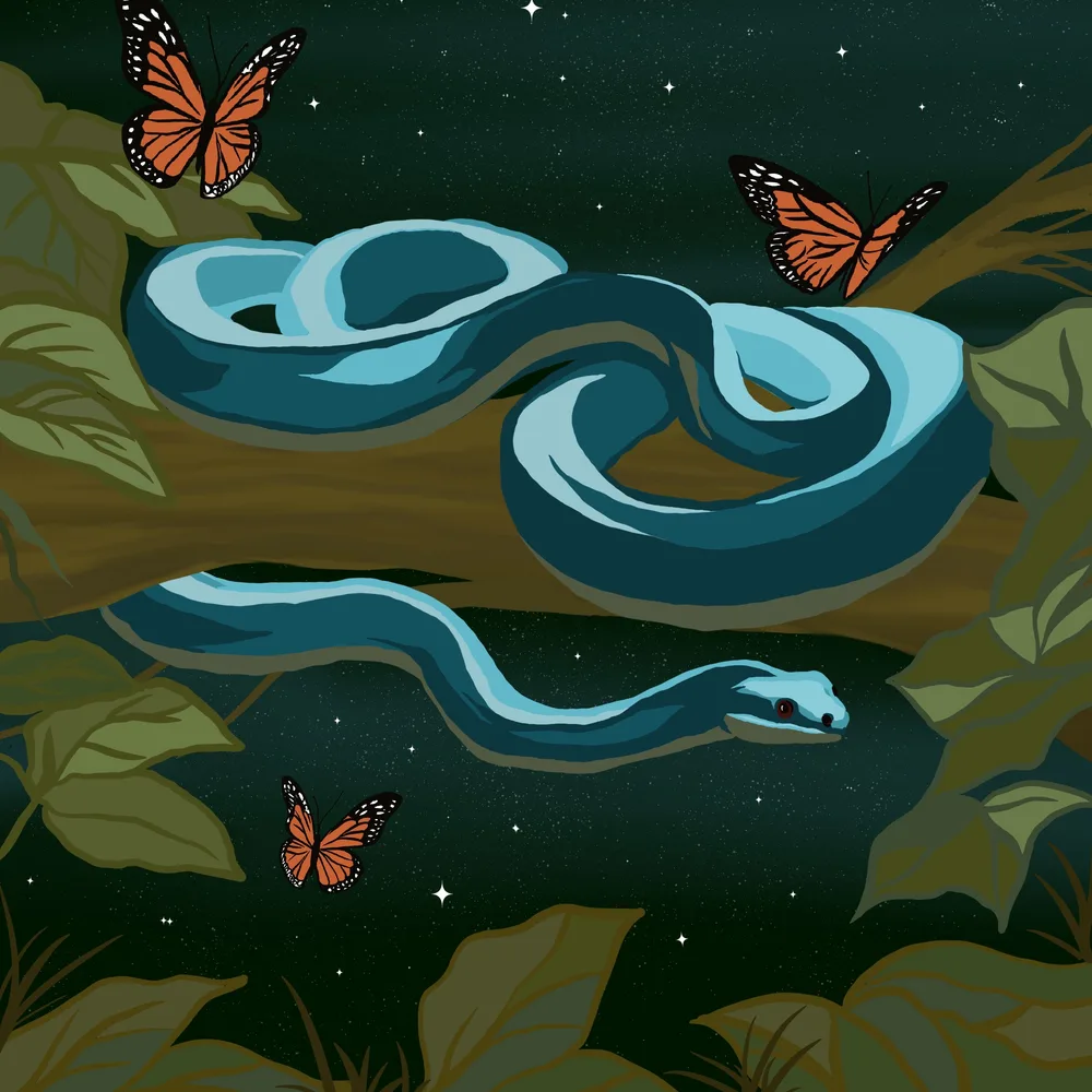 Butterfly & snake