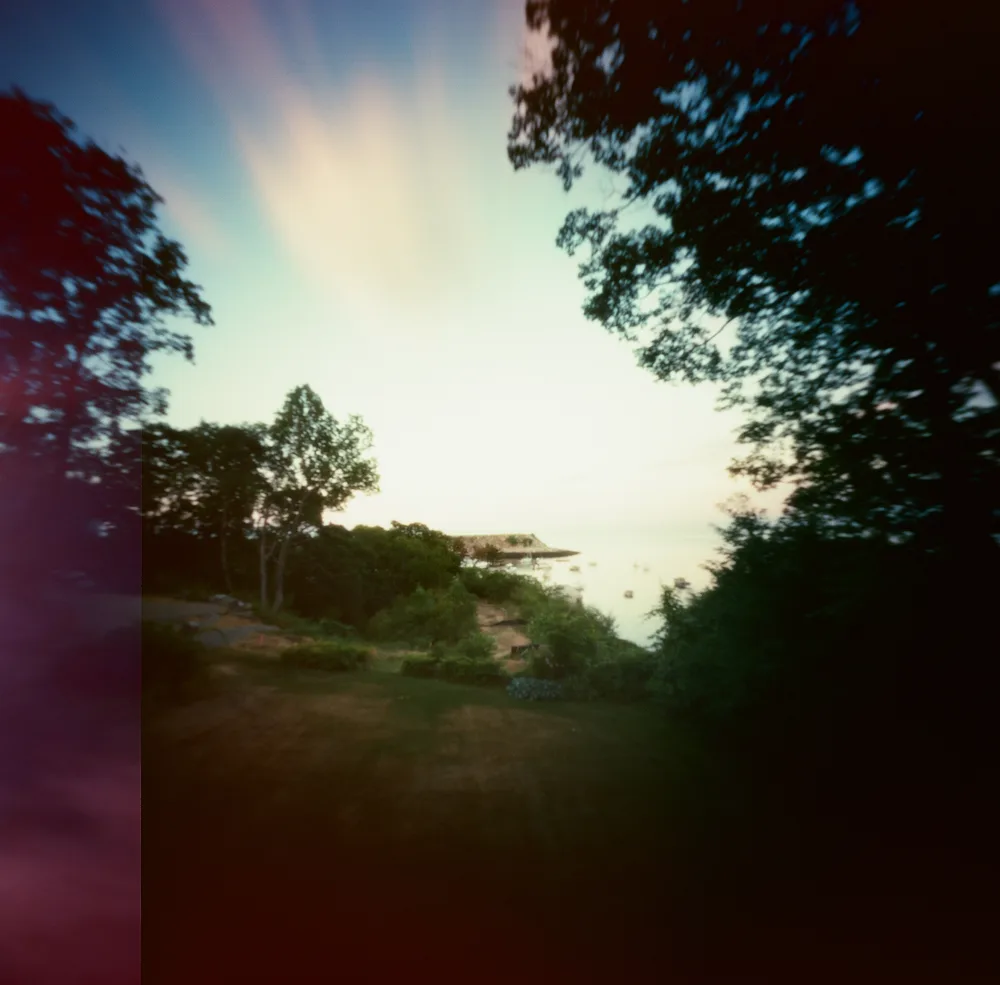 Gull Cove