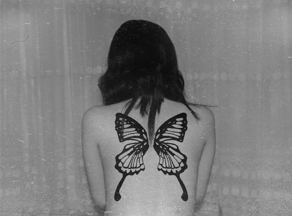 "B like Butterfly"