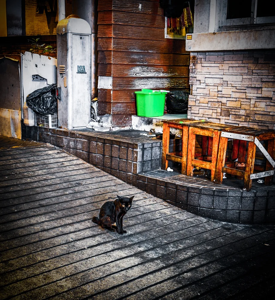 Streets of Bangkok - This Life