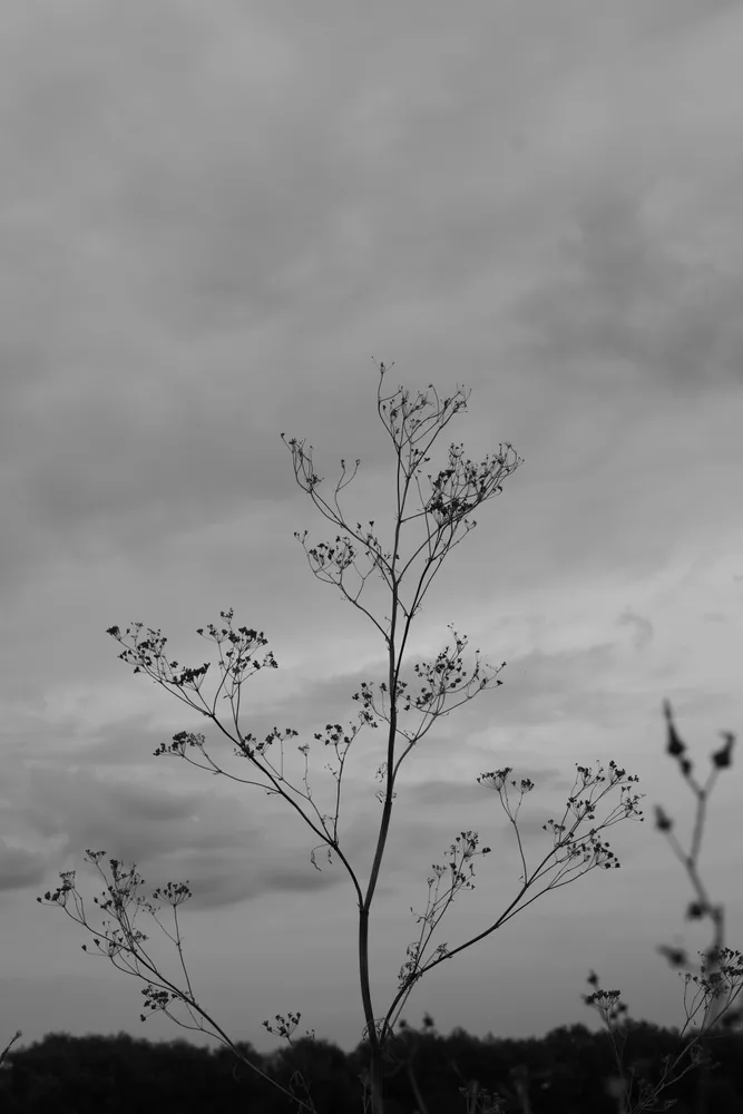 Moment in black and white.