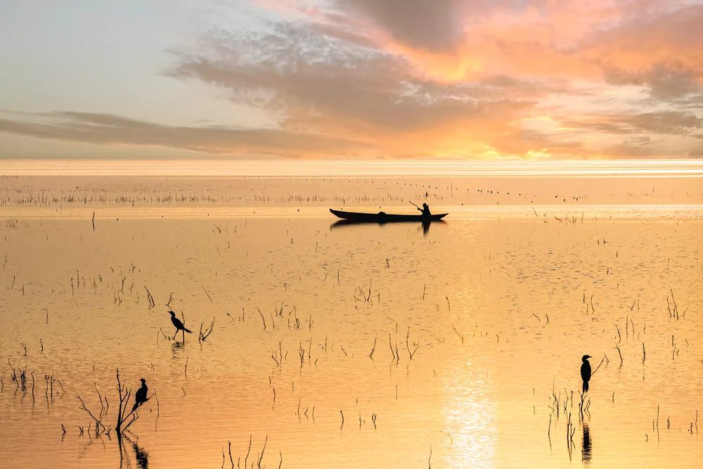 Fisherman