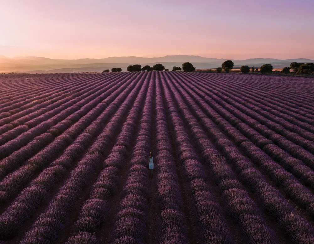 Purple sunset
