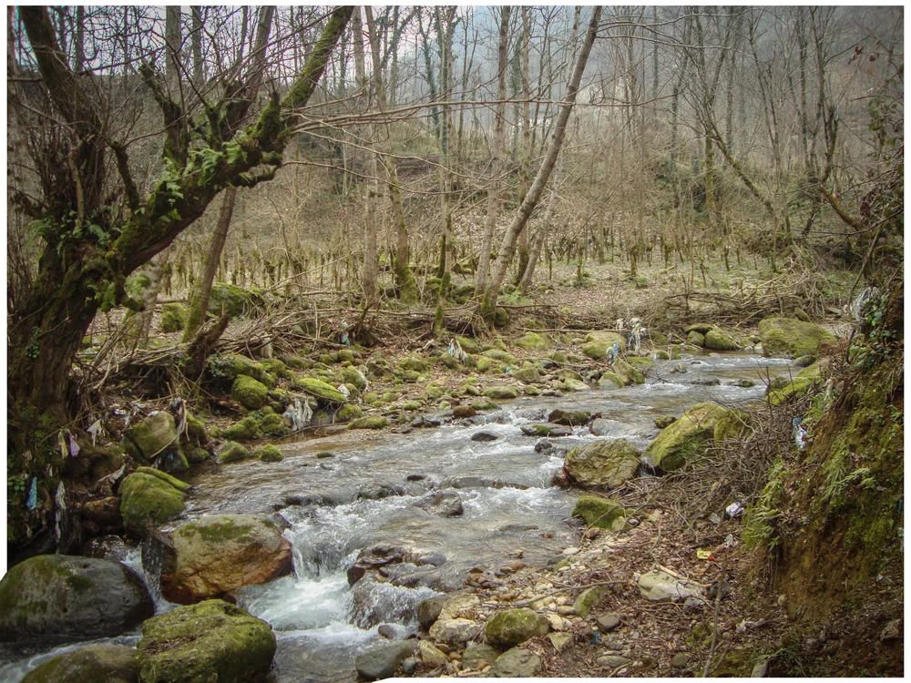 Nature that no longer breathes because of us