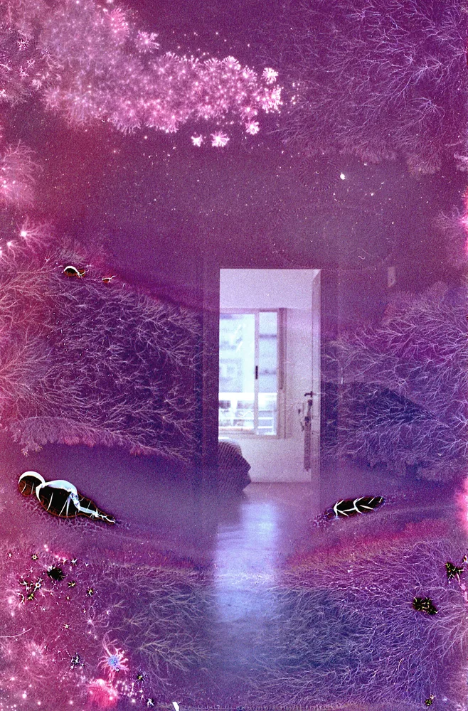 Light Portal