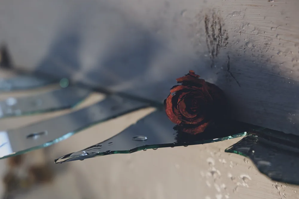_bloom trembles