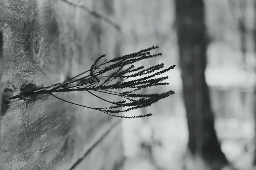 _off-balance